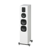 quad-s5-white-6 quad s5 鋼烤白